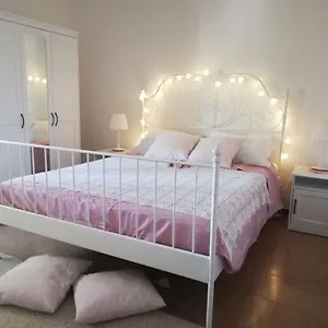 Pisa Apartment Apartment